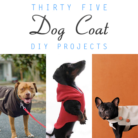 35 DIY Dog Coats