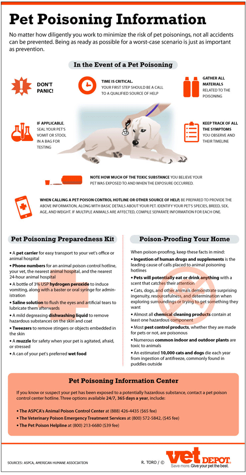 How do you safeguard your dog from common household poisons?