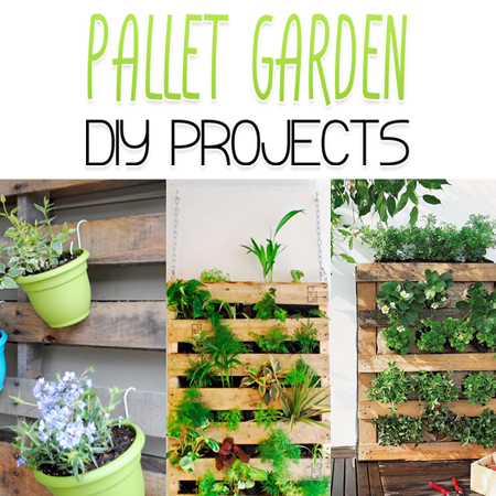 Pallet Garden DIY Projects