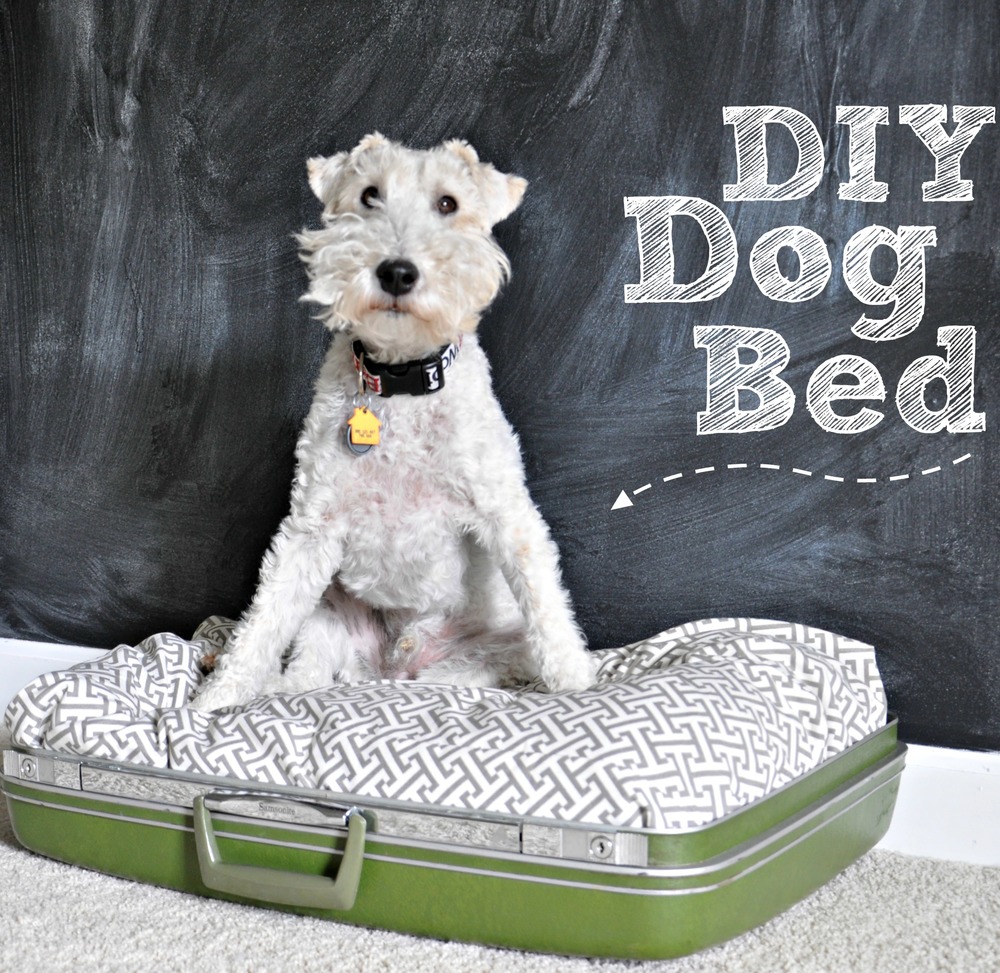 DIY+Suitcase+Dog+Bed+{repurpose}