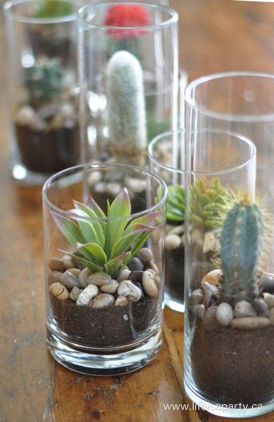 cactus-and-succulents-in-a-vase-center-piece-4