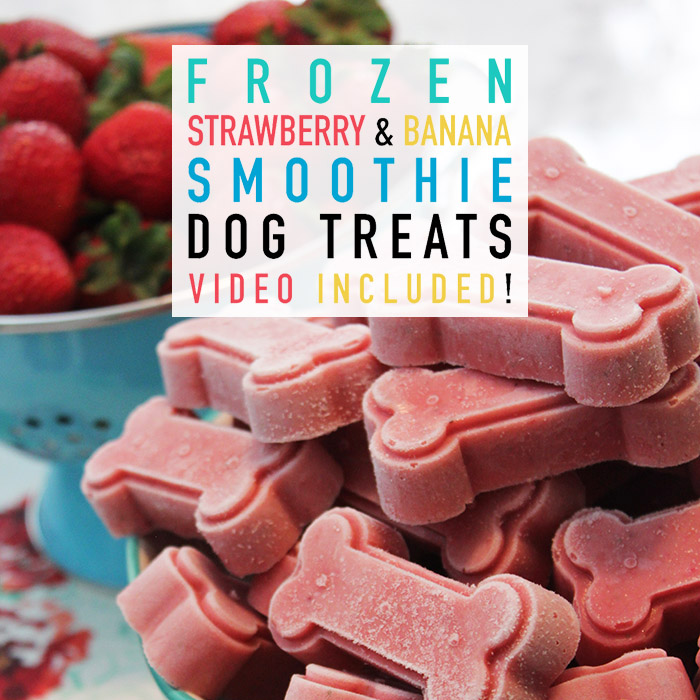 Frozen Strawberry and Banana Smoothie Dog Treats
