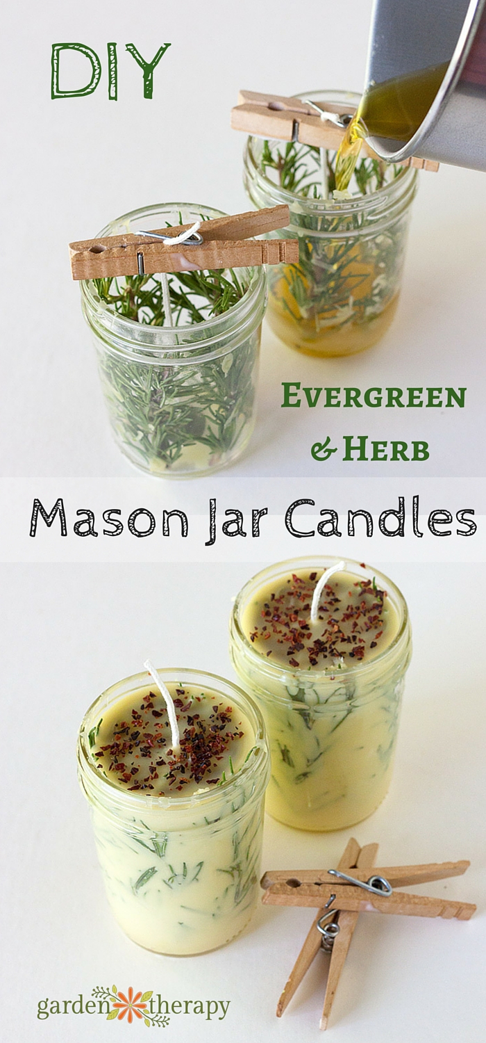 Mason jars are great for making homemade evergreen and herb candles. 