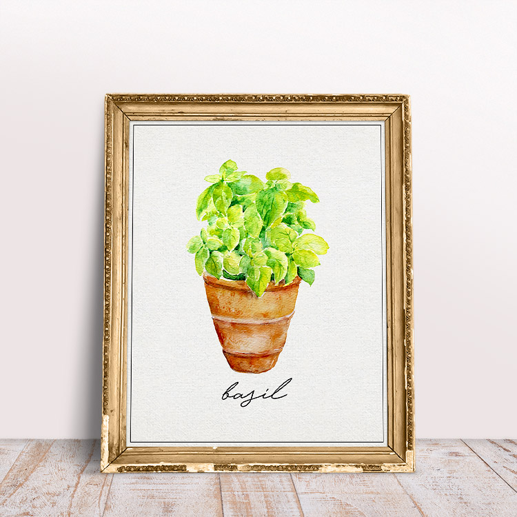 This basil printable is bright and simple in design.