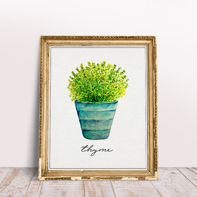 This herb printable featuring fresh thyme in a colorful vase is so cute.