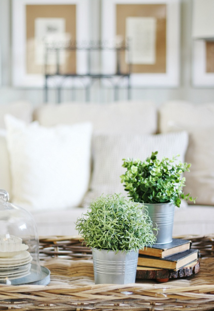 These adorable plants add a pop of color to this neutral living room. 
