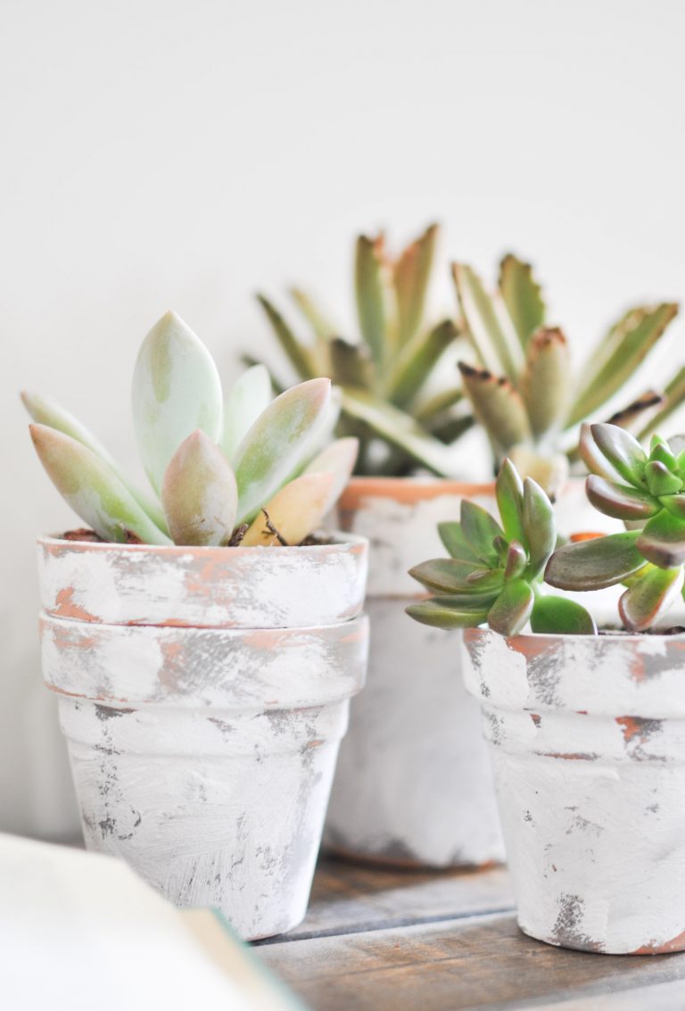 These distressed flower pots with white paint looks vintage and cute. 