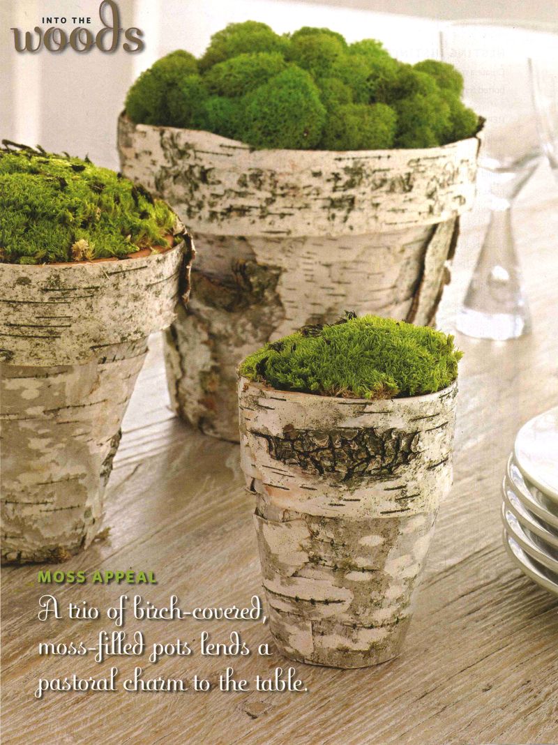 These wood flower pots filled with moss are mystical. 