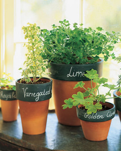 These flower pots with labels are great for growing fresh herbs. 