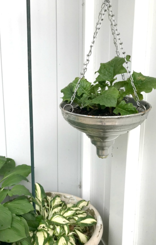These lampshades turned into planters are an industrial dream