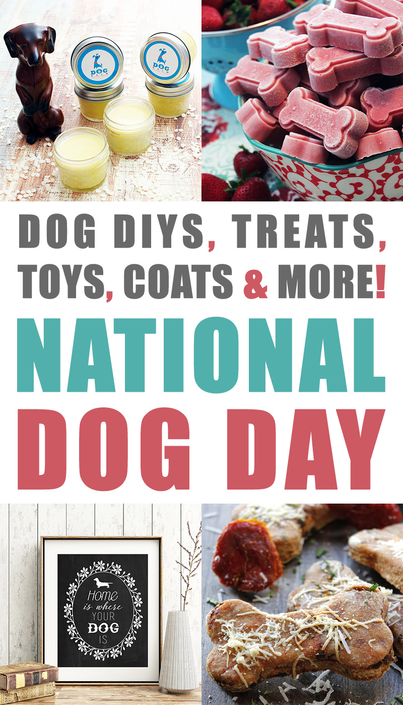 It's a special day today...It's National Dog Day and we are celebrating with Dog DIYS, Treats, Toys, Coats & More National Dog Day Rocks...Hugs to the pups