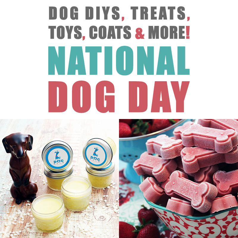 It's a special day today...It's National Dog Day and we are celebrating with Dog DIYS, Treats, Toys, Coats & More National Dog Day Rocks...Hugs to the pups