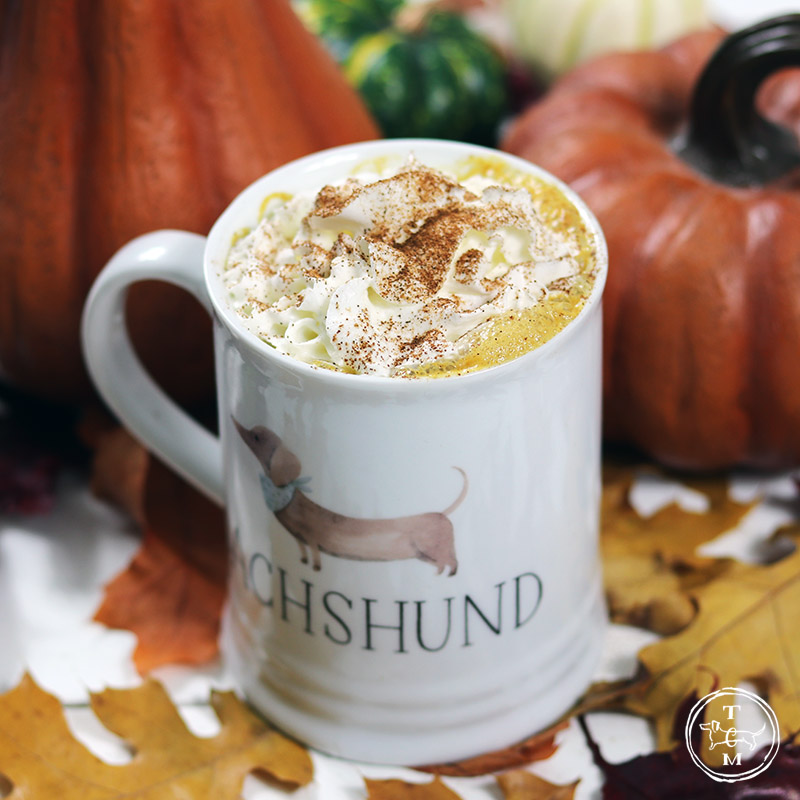 What is a great way to welcome FALL??? A Pumpkin Spice Latte Three Ways ... Vegan Weight Watchers & Regular. We have your Pumpkin Spice Latte covered! Enjoy!
