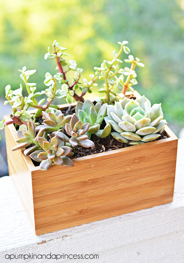 Come on in and check out all of these wonderful IKEA Hack Planters Your Plants Will Adore. All different styles and one is perfect for you!