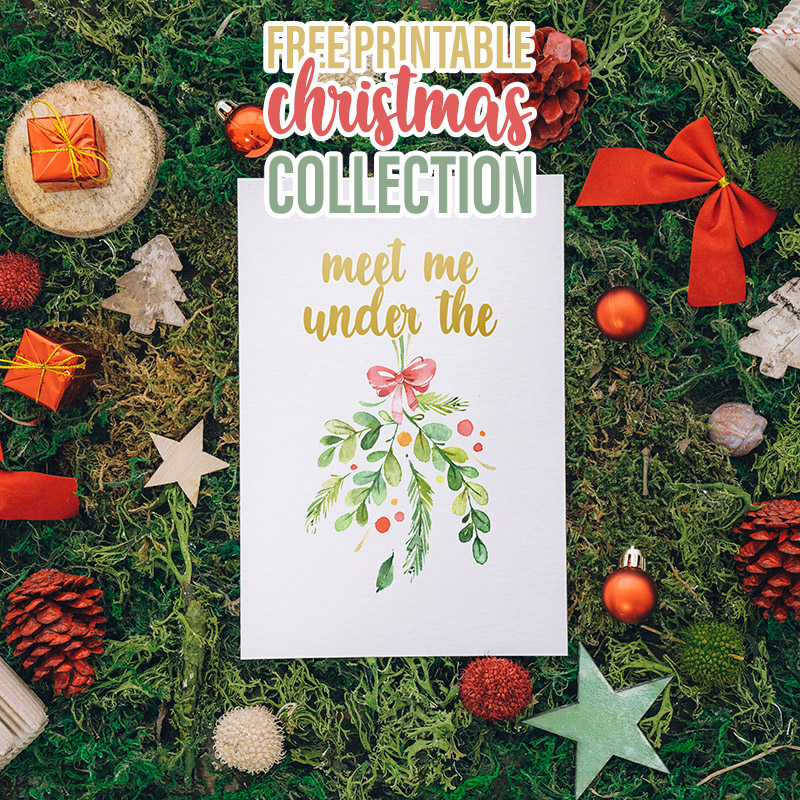 This Free Printable Christmas Collection is going to look amazing on your wall or as part of a Winter Vignette! All 4 come in 2 sizes and are waiting for u!