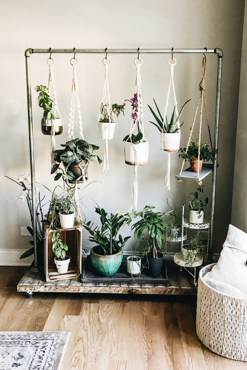The Best Indoor Gardens with Tons of Style are just waiting for you to be inspired by them! Indoor Gardens are becoming more and more popular! Create Enjoy!