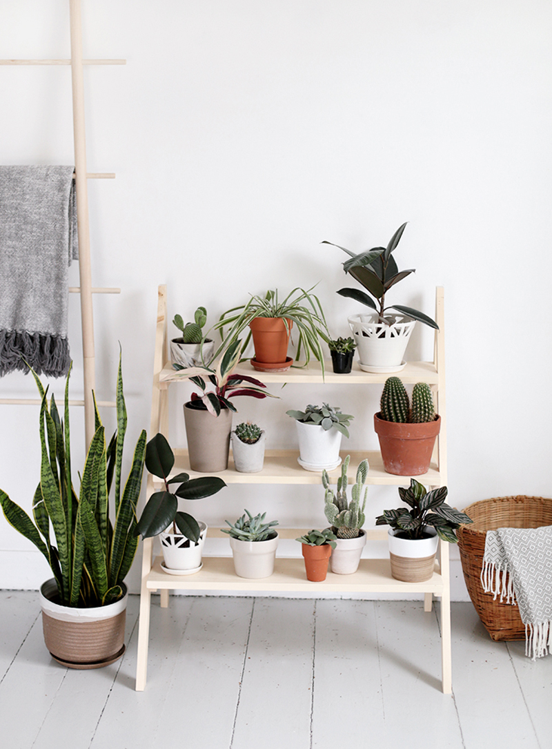 The Best Indoor Gardens with Tons of Style are just waiting for you to be inspired by them! Indoor Gardens are becoming more and more popular! Create Enjoy!