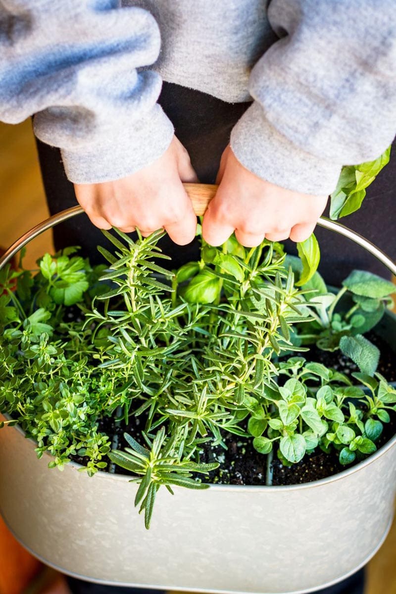 A Tasty Collection of DIY Herb Gardens is just what the creative home cook needs to check out today!  When you pick the style you love and the growing starts… all of those dishes are going to get tastier than EVER!