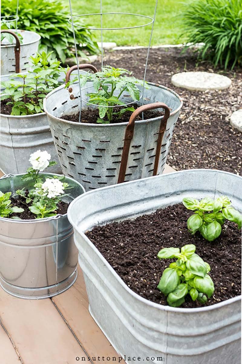 A Tasty Collection of DIY Herb Gardens is just what the creative home cook needs to check out today!  When you pick the style you love and the growing starts… all of those dishes are going to get tastier than EVER!