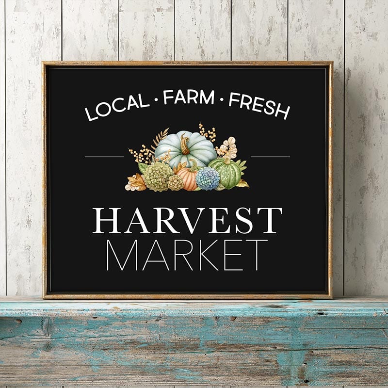 This Free Printable Farmhouse Fall Harvest Sign will bring a smile to your Wall, Gallery Wall, Vignette and more this Fall Season.  Comes in 2 sizes and 4 styles... ready to be framed!