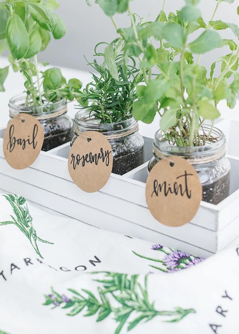 These Marvelous DIY Mason Jar Herb Gardens are quick and easy to create and look amazing.  The rewards of making one is a burst of fresh aromatic flavor to all of your yummy dishes.