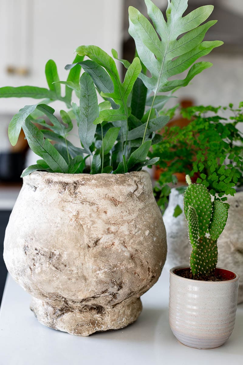 These DIY Farmhouse Flower Pots are so absolutely gorgeous and have so much Farmhouse Style from Modern to Traditional… I am sure that Joanna Gaines herself would decorate with each and every one of them.