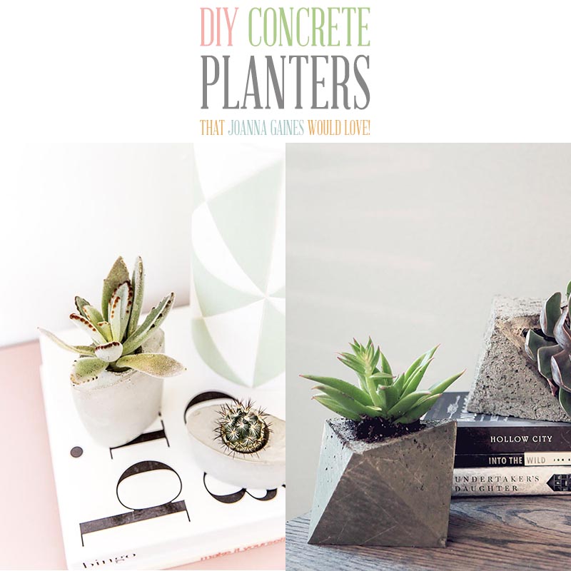 These fabulous DIY Concrete Planters have tons of Modern Farmhouse Style.  I am sure Joanna Gaines herself would use any one of them in her decor projects!