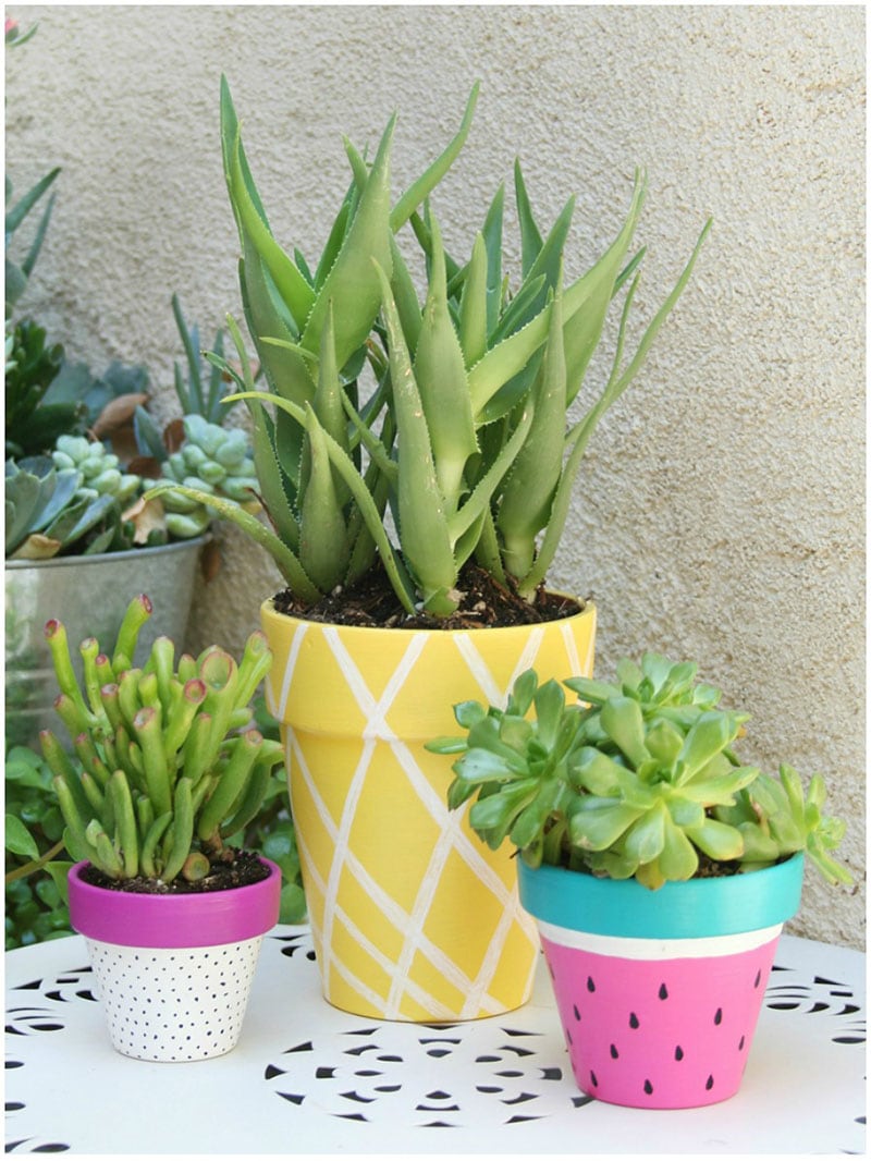 These Dollar Store Summer Decor DIYS are guaranteed to give your space a little refresh and each project is extremely budget friendly.