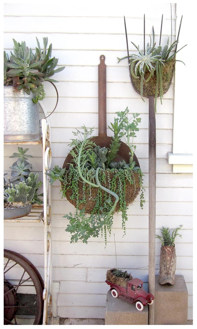 These Repurposed Garden Containers are going to totally motivate you to create many fabulous DIY Container Gardens.