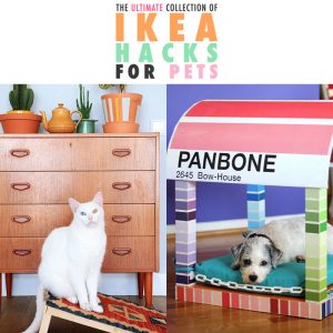 This Ultimate Collection of IKEA Hacks For Pets is going to open a world of comfort and style to your precious pets for sure!