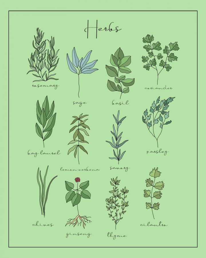 This Fabulous Free Printable Farmhouse Herb Sampler is going to add so much charm to your Kitchen and Dining Room! Comes in a variety of backgrounds and one will be perfect for your special Home Decor!