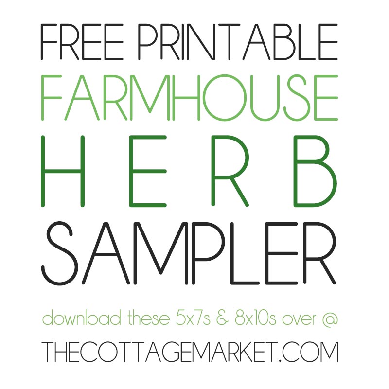This Fabulous Free Printable Farmhouse Herb Sampler is going to add so much charm to your Kitchen and Dining Room! Comes in a variety of backgrounds and one will be perfect for your special Home Decor!