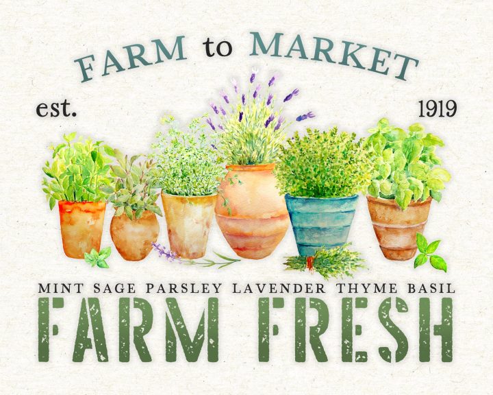 These Free Printable Farm Fresh Herbs Sign with total a totally Fresh Farmhouse look is going to look amazing in your Kitchen! Oh so charming!