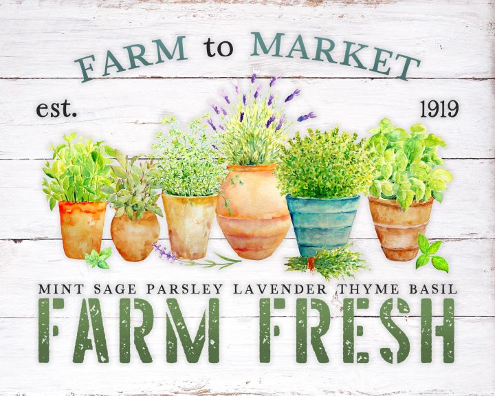 These Free Printable Farm Fresh Herbs Sign with total a totally Fresh Farmhouse look is going to look amazing in your Kitchen! Oh so charming!