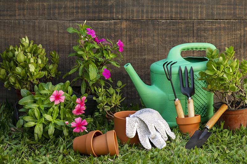 Get in the swing of Spring with these Creative Projects to Put you in the Spring Spirit! Whether it be gardening or baking you are going to love these fun and sometimes yummy ideas!