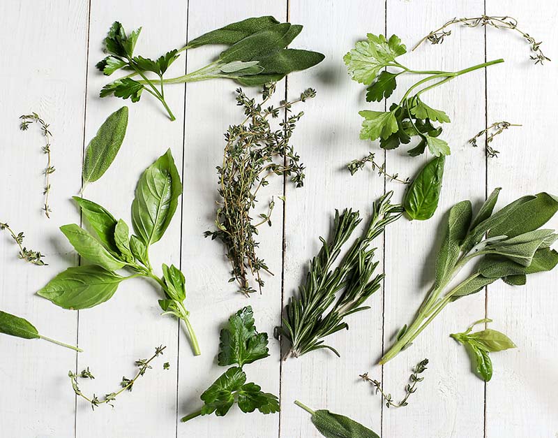 You are going to learn everything you need to know about How to Create a Kitchen Herb Garden. There is a lot of deliciousness in your future.