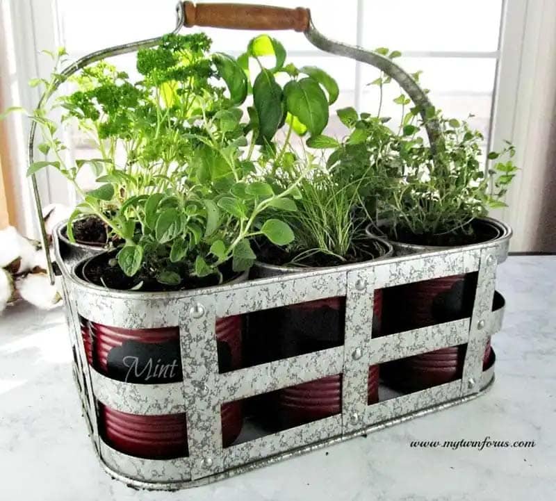 You are going to learn everything you need to know about How to Create a Kitchen Herb Garden. There is a lot of deliciousness in your future.