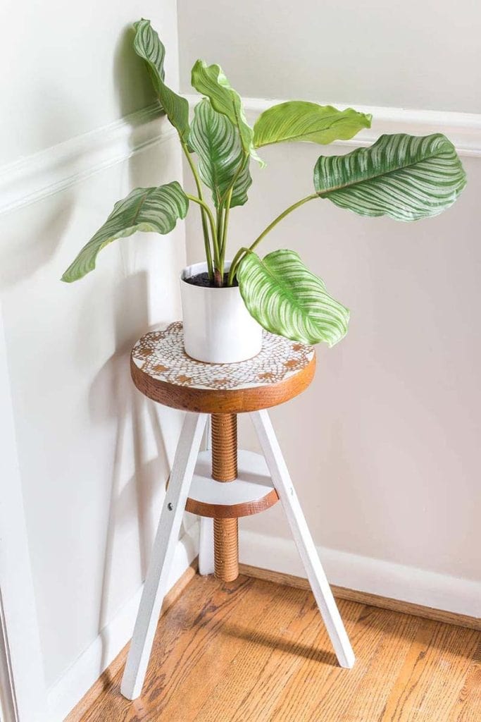 These 11 Ways To Display Plants Without A Plant Stand are going to have your Plants Stylin!