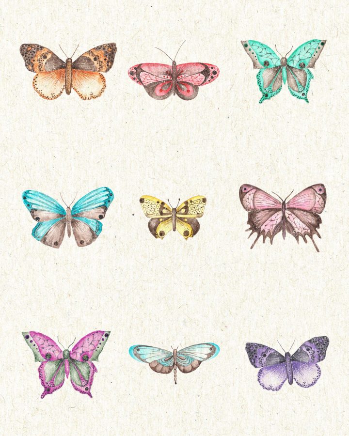 This Summer Butterfly Printable is going to add a pop of color and a touch of pretty to your space in a snap!