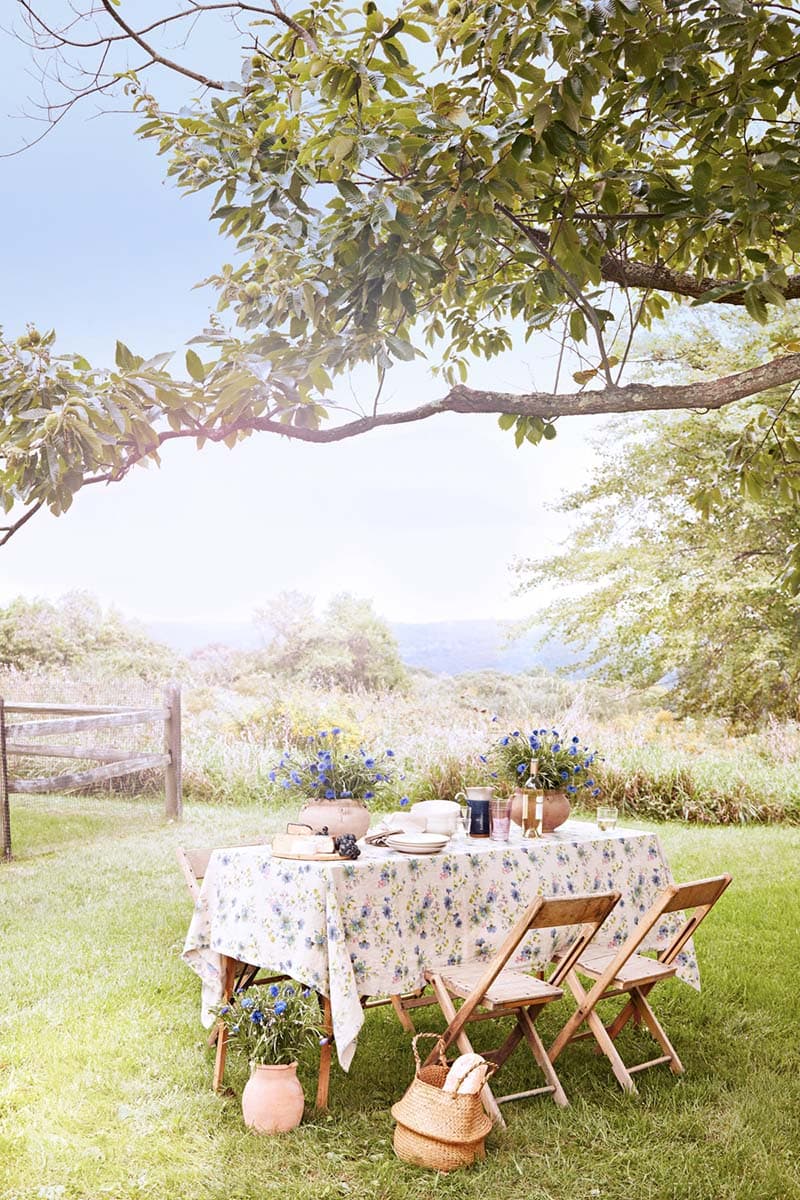 If you’re hosting a summer party, here is the ultimate guide to making it memorable.