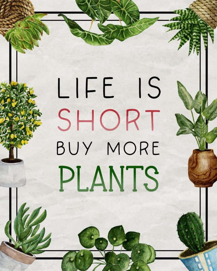 This Funny Plant Quote Printable is going to bring a touch of fun and freshness to any space you use it in!