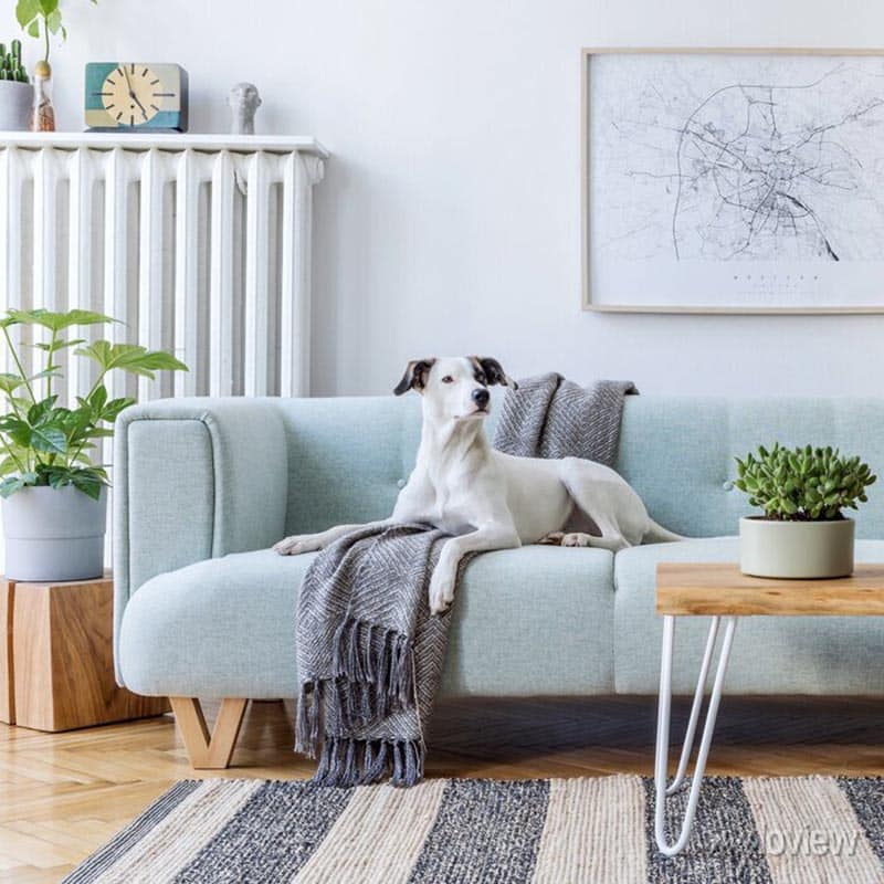 Explore the allure of Scandinavian decor—where minimalism meets cozy simplicity. This guide offers tips to make your space serene.
