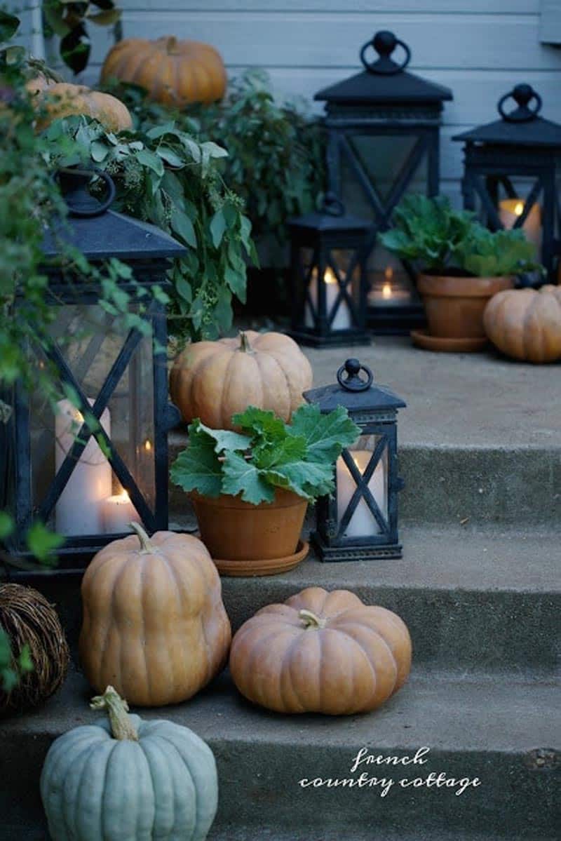 Discover charming Farmhouse DIY ideas to transform your home. From repurposed pumpkins to antique treasures, infuse rustic elegance into your decor.