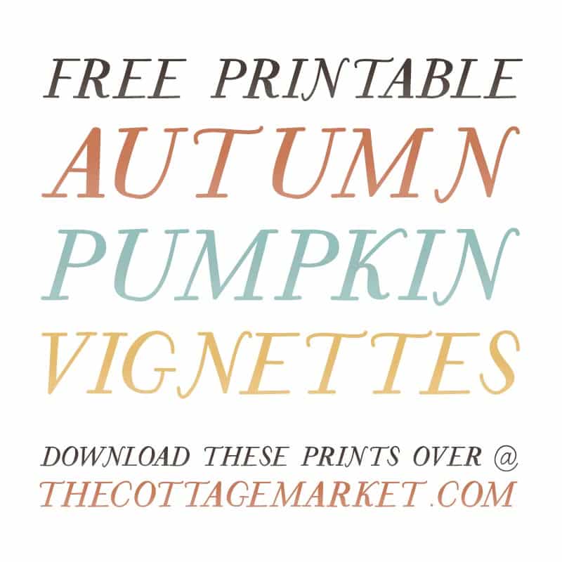 Elevate your autumn decor with Free Printable Autumn Pumpkin Vignettes - a stunning blend of pumpkins, sunflowers, and falling leaves.