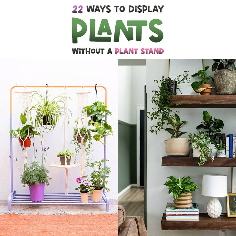 22 Ways To Display Plants Without A Plant Stand - The Cottage Market